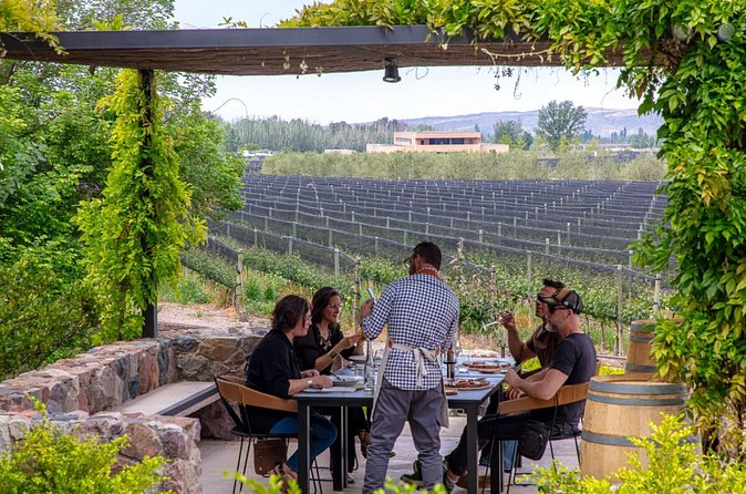 2 Wineries and 1 Distillery Full Day Tour with Lunch in Mendoza - Who will enjoy this Mendoza day most?