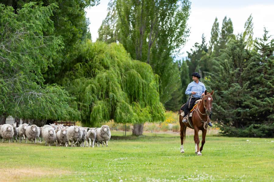 25 DE MAYO FARM - Live folk music and audience participation