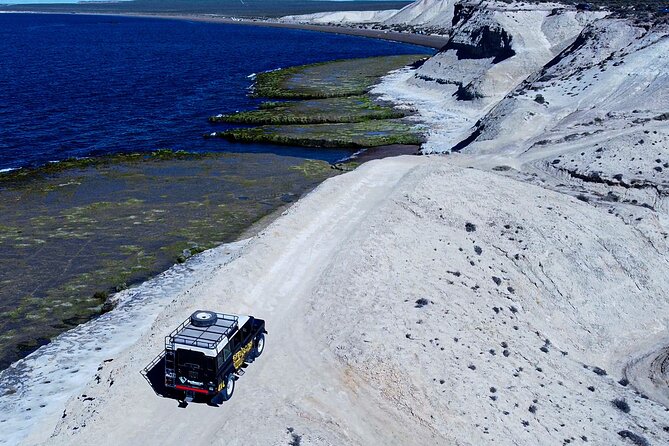 3 hour 4x4 tour around Puerto Madryn - Punta Este brings the first burst of action