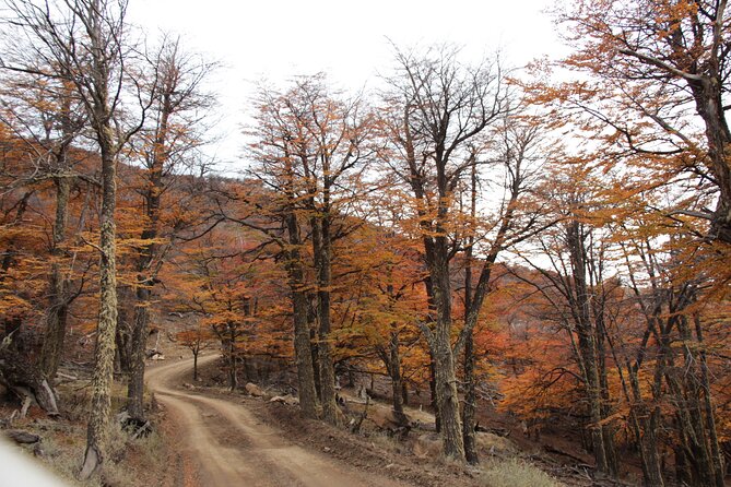 4x4 en el Cerro Frias - The people behind the ride