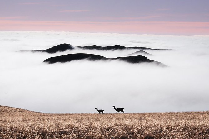 4x4 Private Photo Safari in the Andes - Villavicencio - What makes this Andes outing different