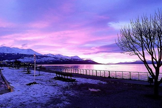 5-Hour National Park + City tour - USHUAIA (Private Tour) - Key points to know before you book