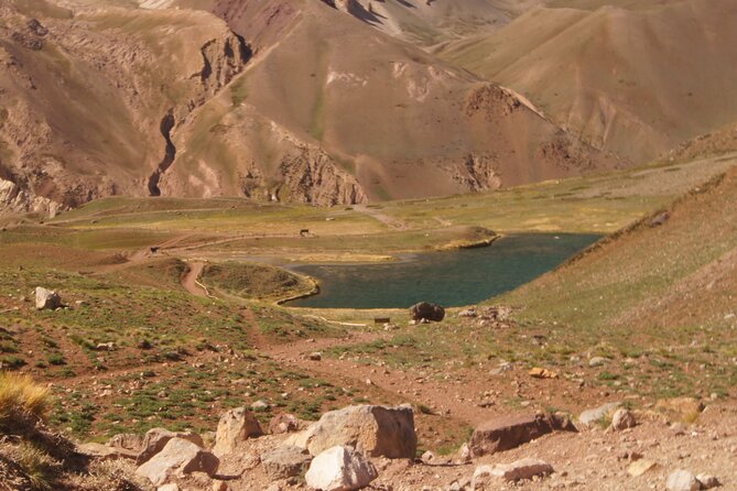 Aconcagua short hike & Argentine BBQ – Full Day from Mendoza - Key points to know before you book