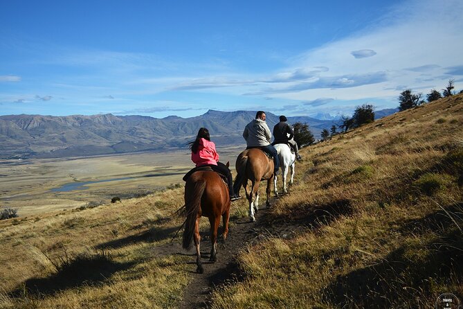 Adventure Horseback Riding on Cerro Frias - Meeting the horses and guides