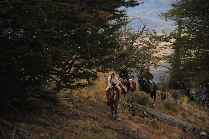 Adventure Horseback Riding on Cerro Frias - Is $150 a fair price?