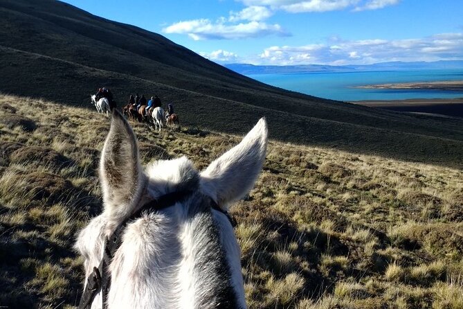 Adventure Horseback Riding on Cerro Frias - Climbing Cerro Frias toward the big views