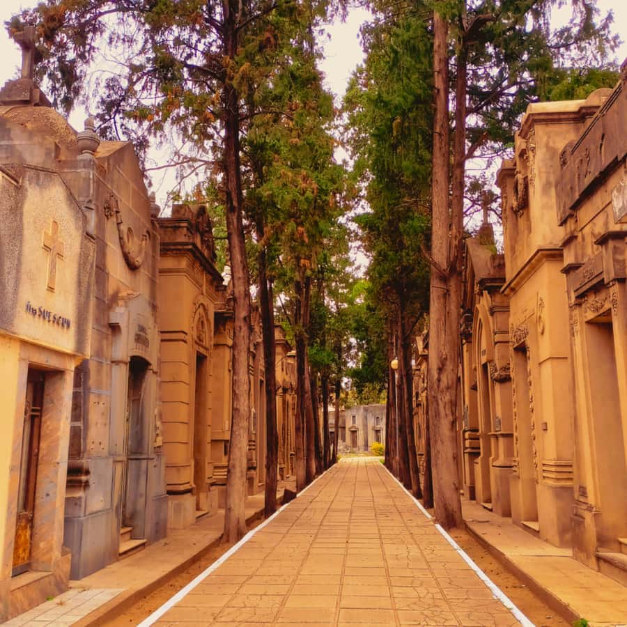 Alberdi Neighborhood: Revolutionary Identities Walking Tour - A Neighborhood Where Politics Lives on the Street