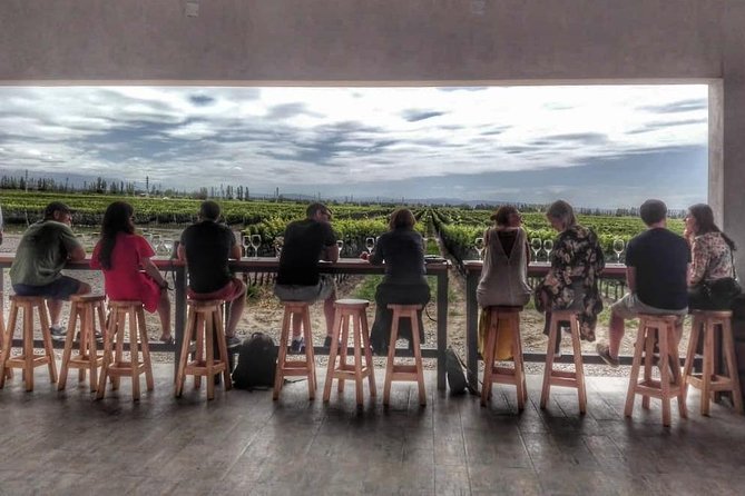 All Day, Small Group, Luxury Wine Tour with Gourmet Lunch - The day at a glance