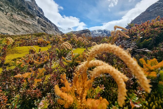 Alpine Adventure in Pollone Lagoon and Lake Electric Valley - The value of a $342.47 private tour