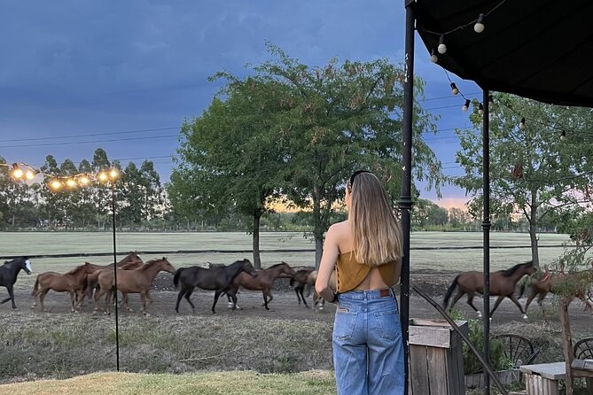 Argentina Polo Experience by La Guapeada Polo - Why this polo day feels different
