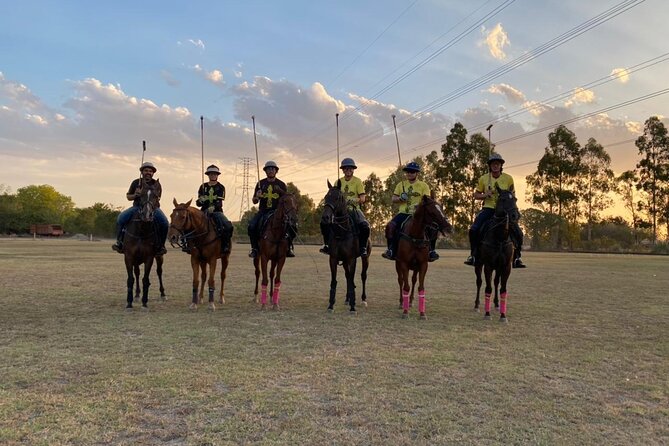 Argentina Polo Experience by La Guapeada Polo - Asado, empanadas, wine, and a long lunch