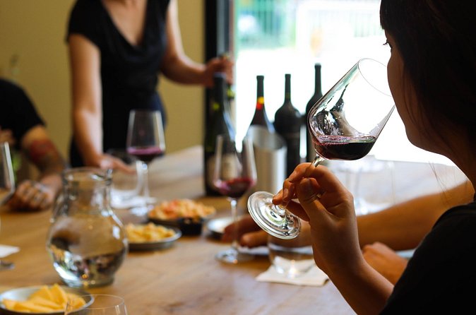 Argentine Wine Tasting in Caminito with Appetizers Included - Why the four subzones matter