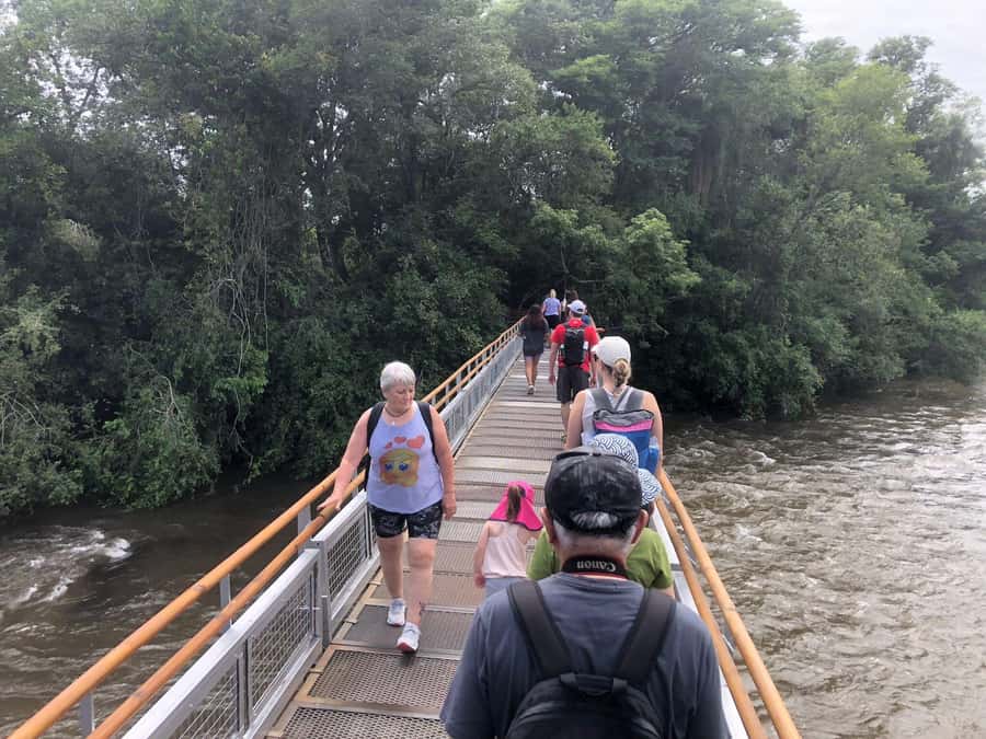 Argentinian Falls Tour + Optional Boat Ride (Private) - Crossing the border with less stress