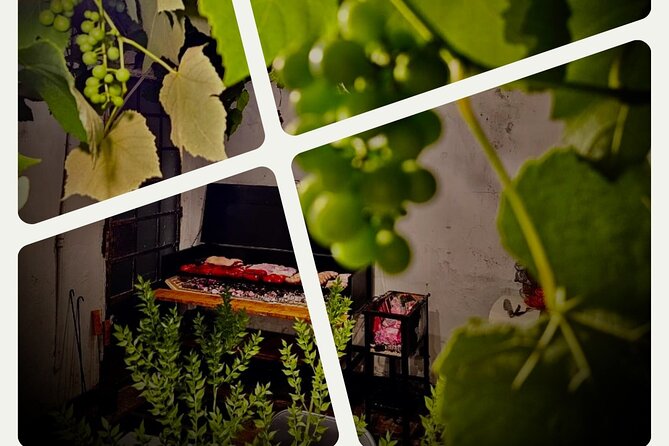 Asado and Malbec Grilling Activity - Key points before you book