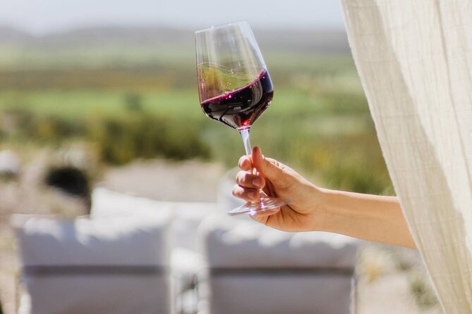 Atamisque Winery + Lunch in Ruda Cocina. Private transportation - What the $270 price really covers