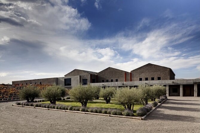 Atamisque Winery + Lunch in Ruda Cocina. Private transportation - A practical way to prepare