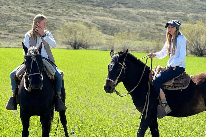 Authentic Country Day - How the experience compares with a typical Mendoza day trip