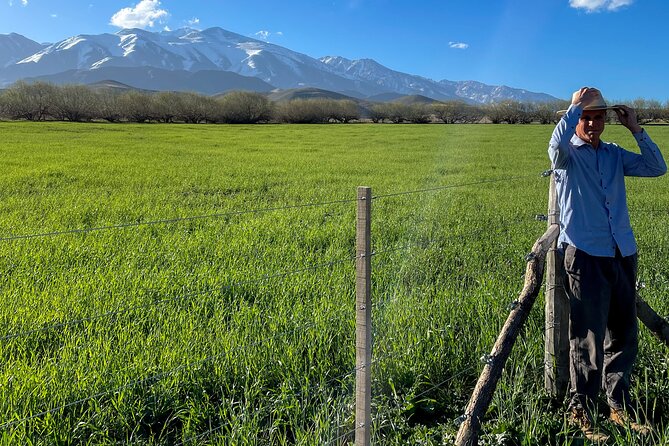 Authentic Country Day - Three hours on horseback in the Andes foothills