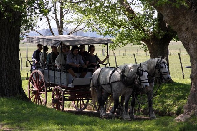 Authentic Farm Day in an Argentine Countryside Estancia - From Buenos Aires to the open pampas