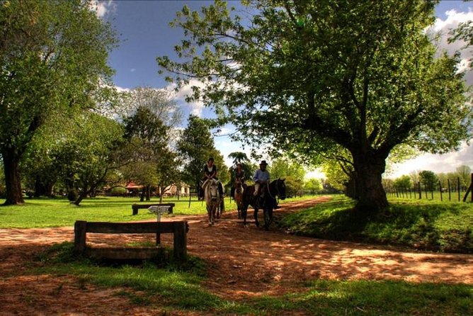 Authentic Farm Day in an Argentine Countryside Estancia - Arriving at El Ombu de Areco Estancia