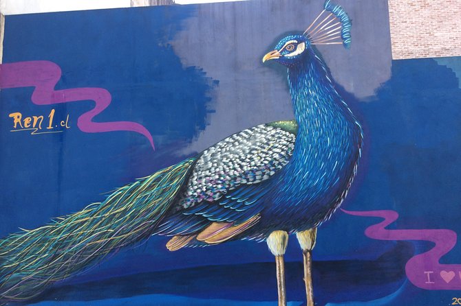 BA: Best Street Art Experience in Palermo - Key Points About This Palermo Art Walk