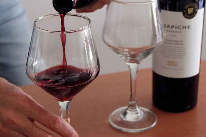 BA: Premium Argentinian Wines and Malbec Tasting in Palermo - A Palermo wine evening with a domestic feel