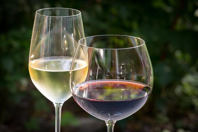 BA: Premium Argentinian Wines and Malbec Tasting in Palermo - The evening’s likely rhythm