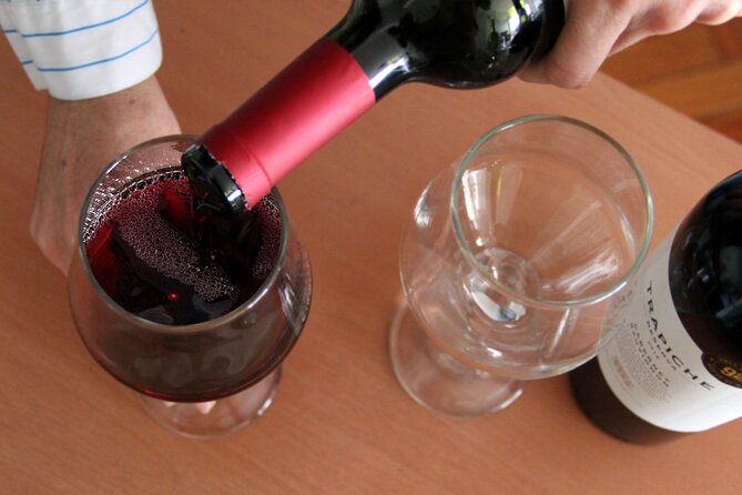BA: Premium Argentinian Wines and Malbec Tasting in Palermo - Argentina’s wine regions in one short sitting
