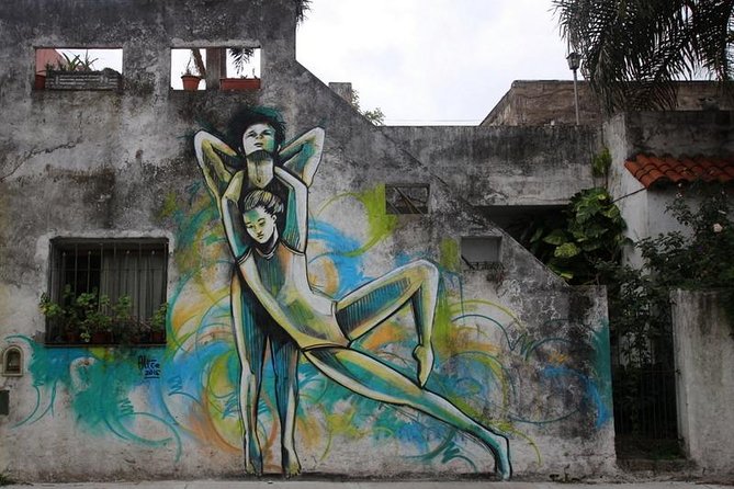 BA Street Art Walking Tour - Small Shared Group - Why Buenos Aires street art deserves a closer look