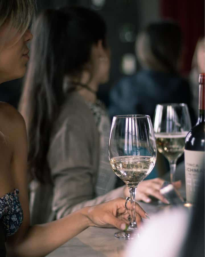 Bar Safari: 4 Best Mendoza’s Bars in 1 night. + Full Dinner - Why this Mendoza bar tour feels different