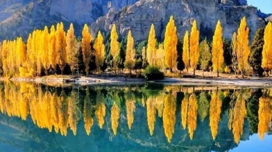 Bariloche: 7 Lakes & San Martin de Los Andes Road Trip - Key points to know before booking