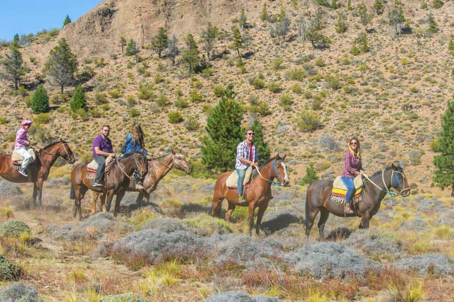 Bariloche: Guided horseback rides in the Patagonian steppe - Key Points at a Glance