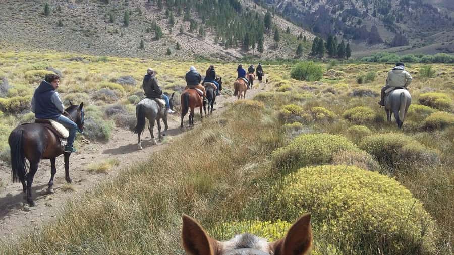 Bariloche: Guided horseback rides in the Patagonian steppe - Leaving Bariloche for La Fragua