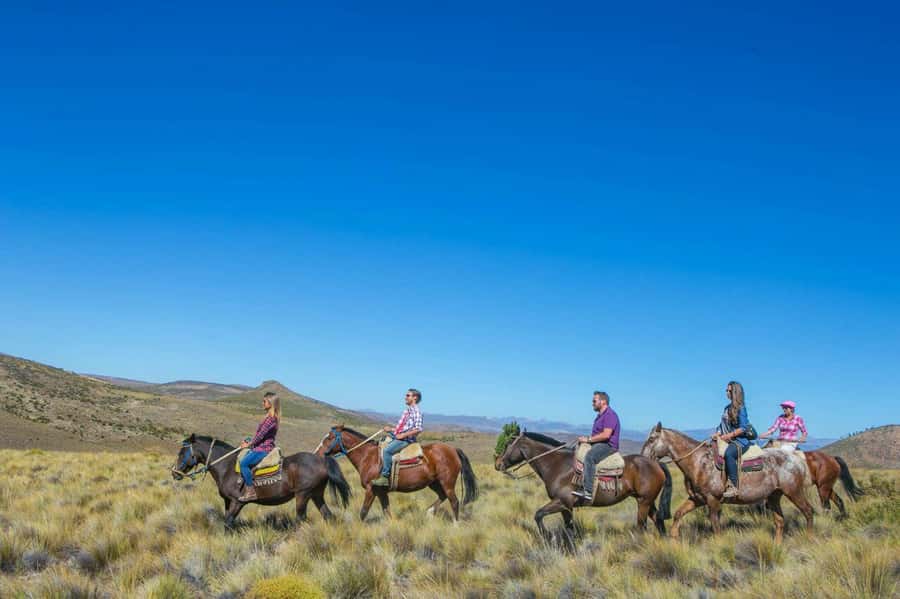 Bariloche: Guided horseback rides in the Patagonian steppe - Two Hours Across Uneven Patagonian Ground