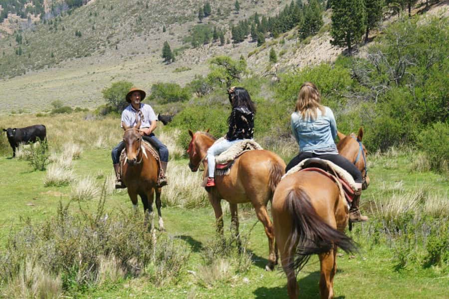 Bariloche: Guided horseback rides in the Patagonian steppe - Breakfast and a Local Nature Talk