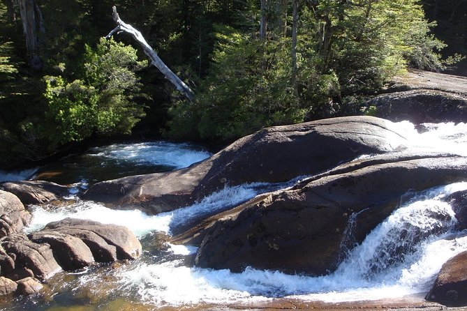 Bariloche: Puerto Blest, Cantaros Waterfall and Frias Lake - What the $270 price includes