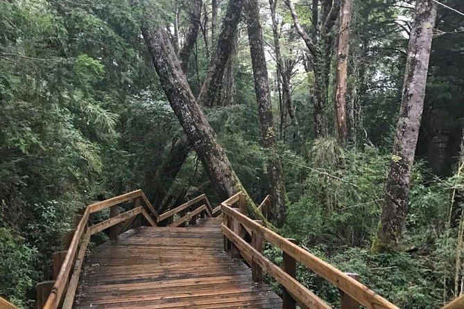 Bariloche: Puerto Blest, Cantaros Waterfall and Frias Lake - How to prepare for the eight-hour schedule
