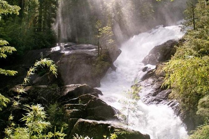 Bariloche: Puerto Blest, Cantaros Waterfall and Frias Lake - Who will get the most from this outing