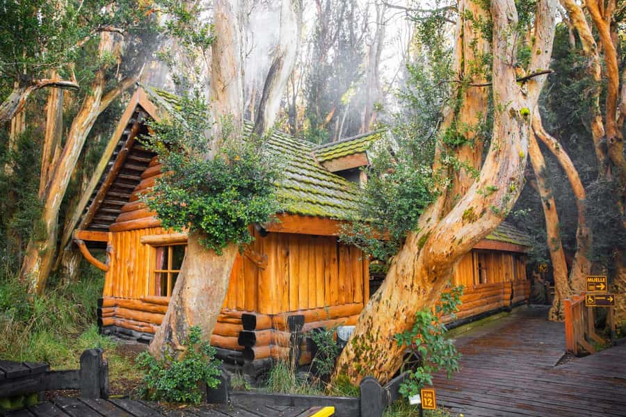 Bariloche: Victoria Island and Arrayanes Forest Navigation - Why this Bariloche boat trip appeals