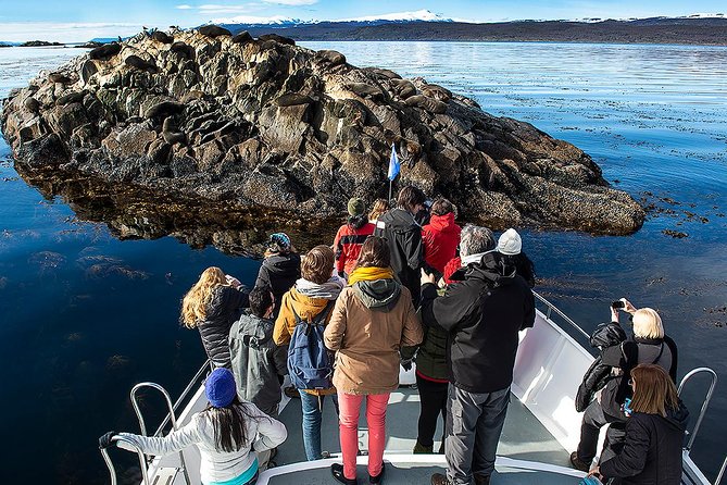 Beagle Channel Navigation with Minitrekking - Is $80 a fair price for four hours?
