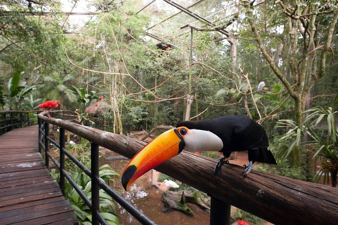 Bird Park & Iguassu Brazilian Side From Puerto Iguazú Hotels - Private Tour - Key points to know before you book