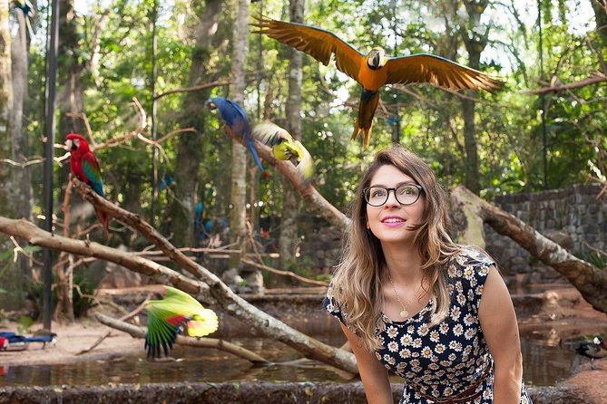 Bird Park & Iguassu Brazilian Side From Puerto Iguazú Hotels - Private Tour - Who will get the most from this tour