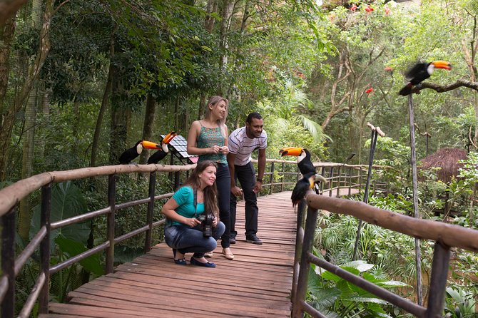 Bird Park & Iguassu Brazilian Side From Puerto Iguazú Hotels - Private Tour - Booking details worth checking first