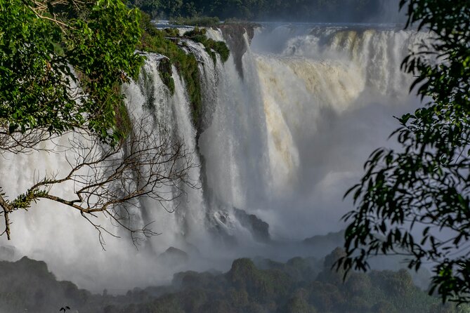 Bird Park & Iguassu Brazilian Side Gran Meliá Hotel Exclusive - Private Tour - Key Points to Know Before You Book