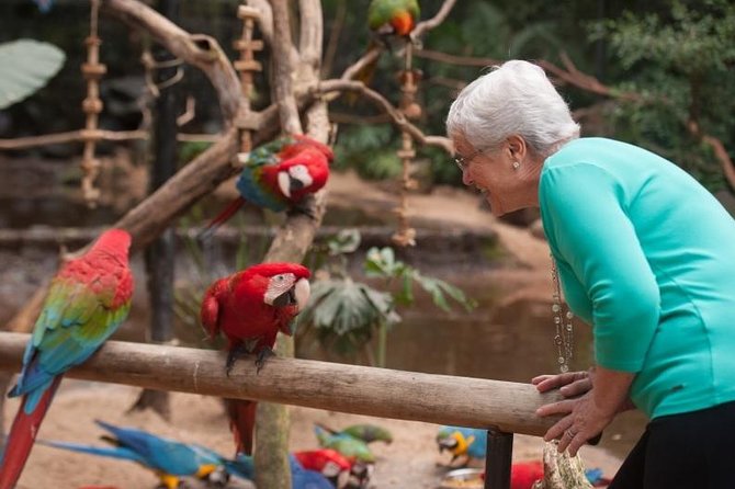 Bird Park & Iguassu Brazilian Side Gran Meliá Hotel Exclusive - Private Tour - Who Will Get the Most From This Tour?