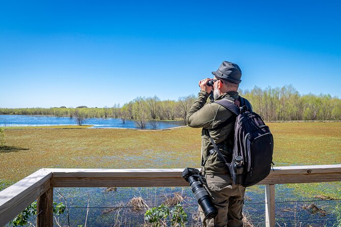 Bird watching and nature in Costanera Sur Ecological Reserve - Key points to know before you book