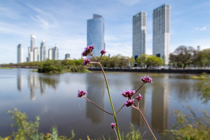 Bird watching and nature in Costanera Sur Ecological Reserve - Why Costanera Sur makes a fine city escape