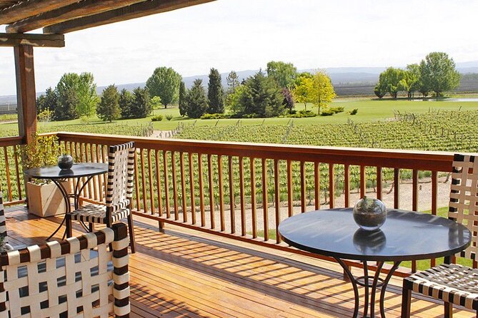 Bodega Decero+Almuerzo Susana Balbo (Guia Michelin). - Private transport, pickup, and the pace of the day