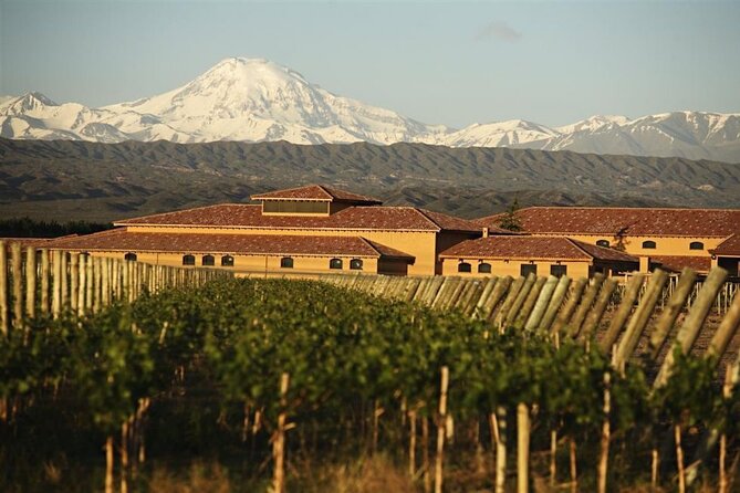 Bodega Decero+Almuerzo Susana Balbo (Guia Michelin). - Strengths and possible snags