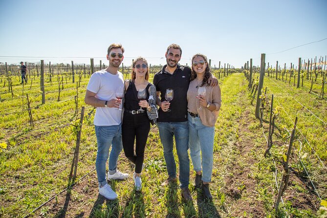Bodega Gamboa Premium Wine Tasting with Lunch - Key points to know before booking
